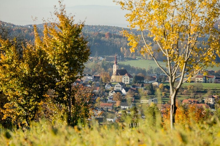 Blick durch zwei Bäume hindurch auf Kumberg.