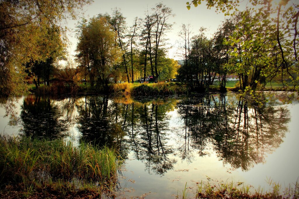 Spiegelung am herbstlichen Weiher im Lavanttal.