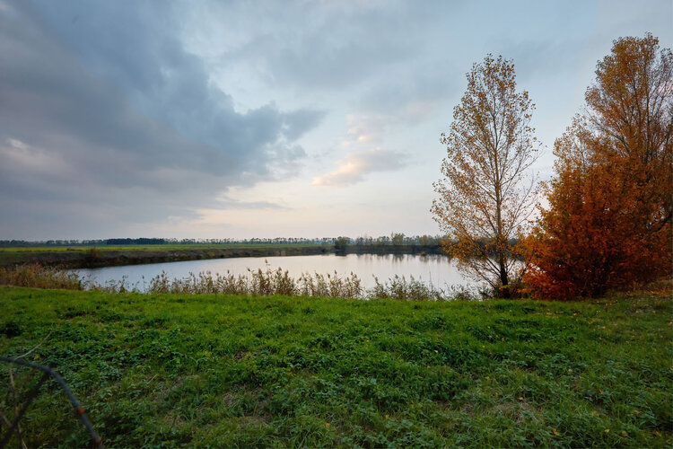 Landschaftsfoto mit Blick auf ein Gewässer