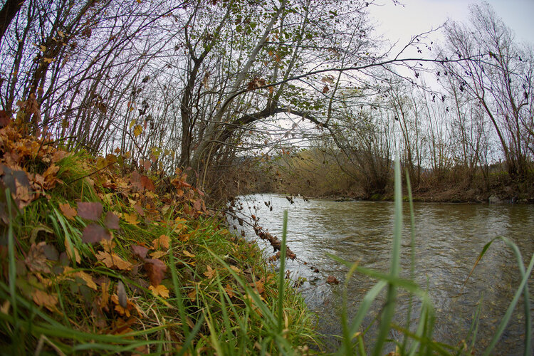 Flusslauf im Herbst