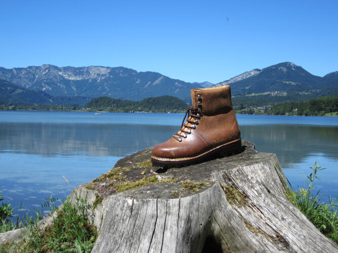 Wanderschuh auf Baumstumpf mit See und Berge im Hintergrund