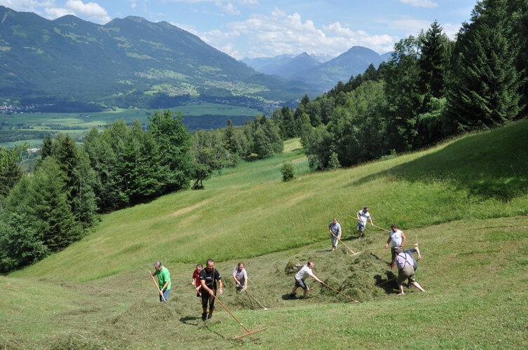 Heuernte auf steilen Wiesen umgeben von Bergen