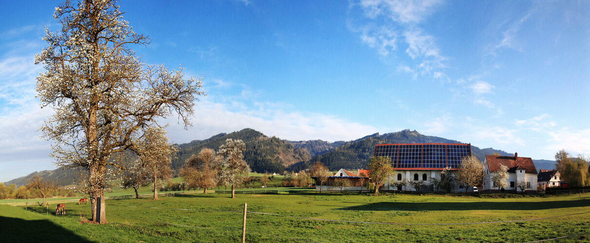 hügelige, grüne Landschaft