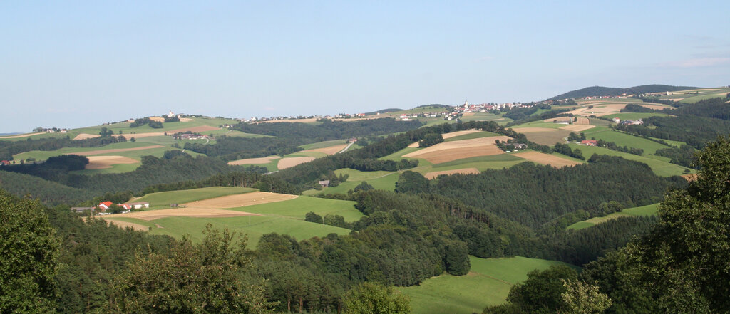 Hügellandschaft in der Region Bucklige Welt-Wechselland.