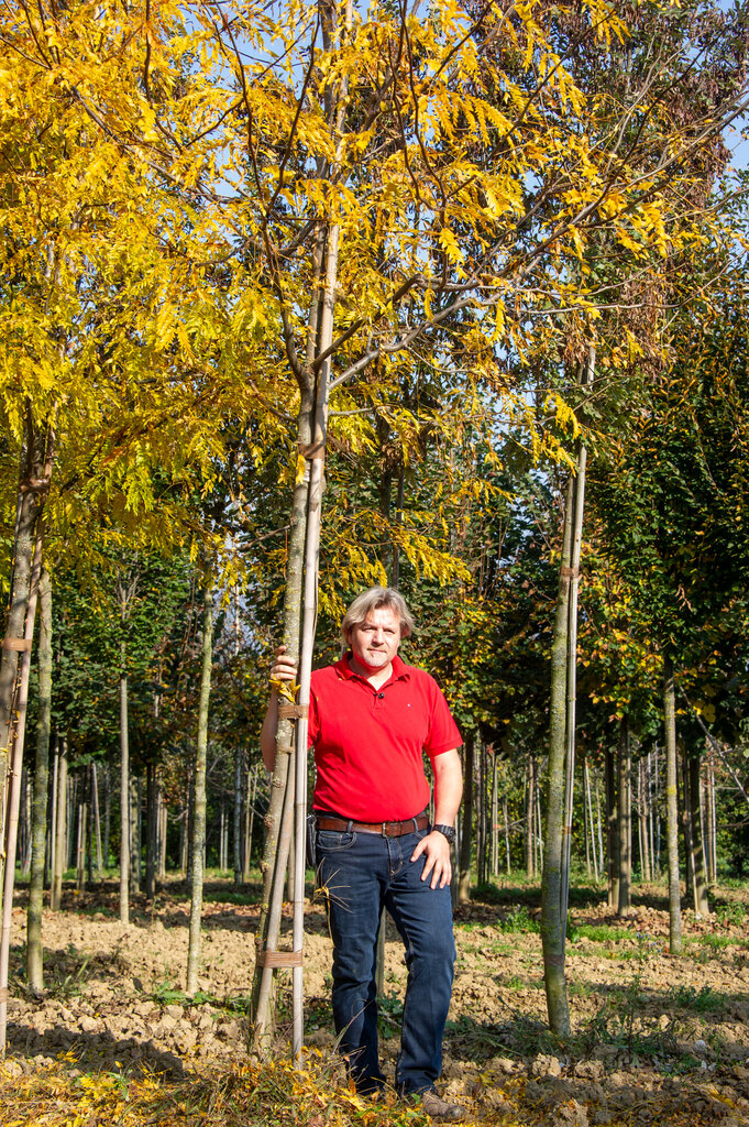 Mann mit rotem T-Shirt steht rechts neben einem Baum.