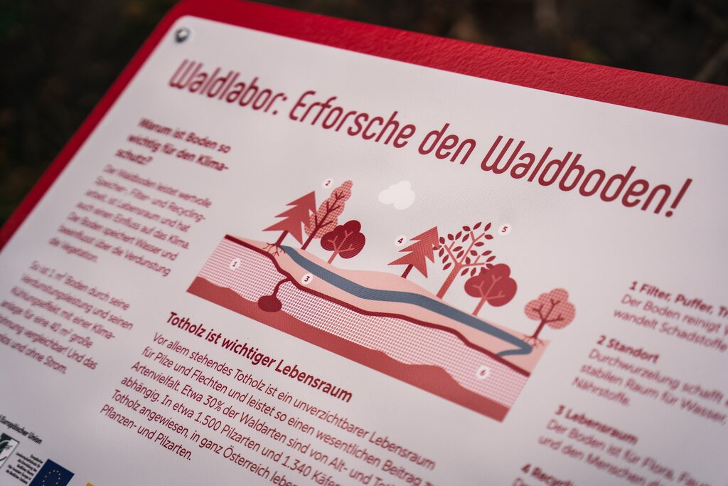 Infoblatt zum Thema Wald auf einem Klemmbrett.