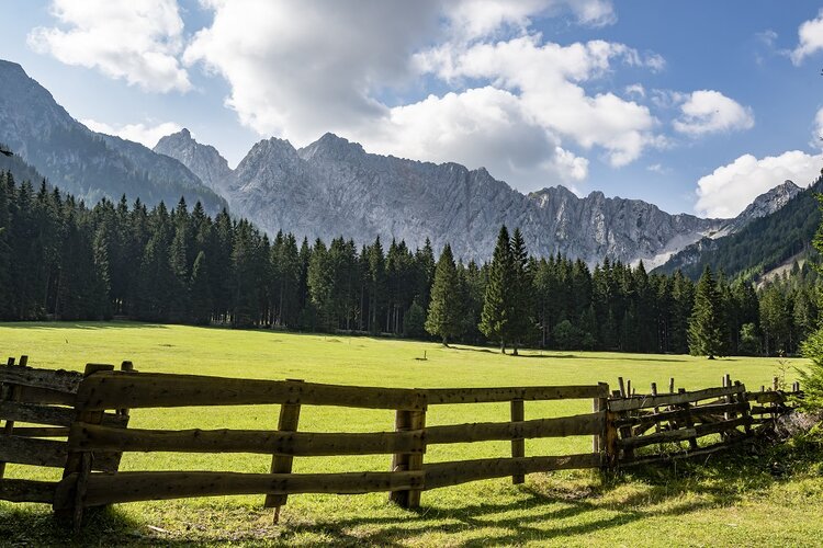 Landschaft mit Bergmassiv, Wald und Almwiese