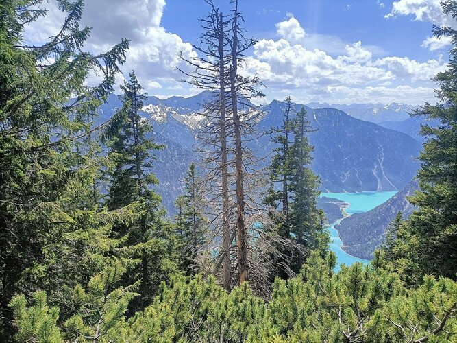 Blick durch Bäume auf Wasser und Berge.