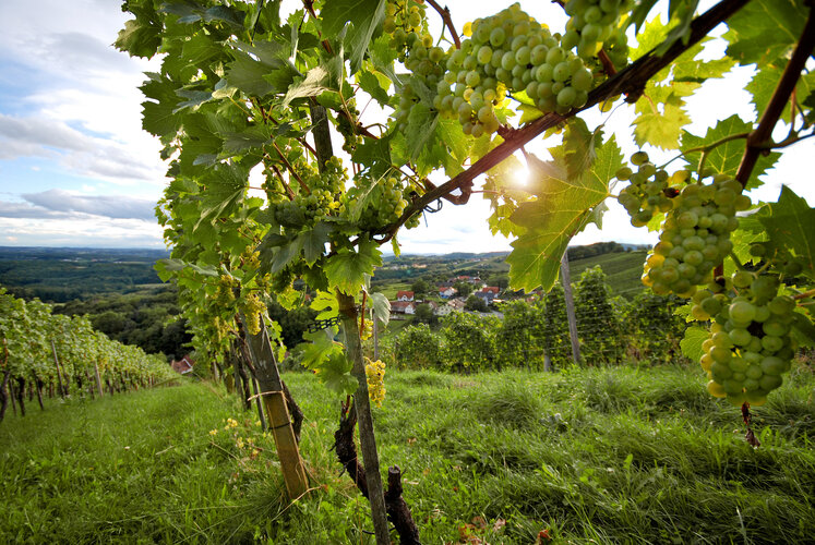 Blick auf Dorf