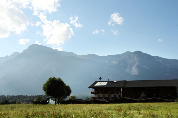 Bauernhaus und Baum