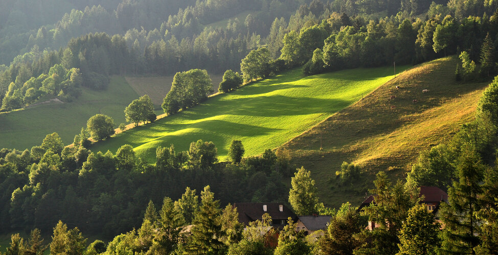 Landschaft