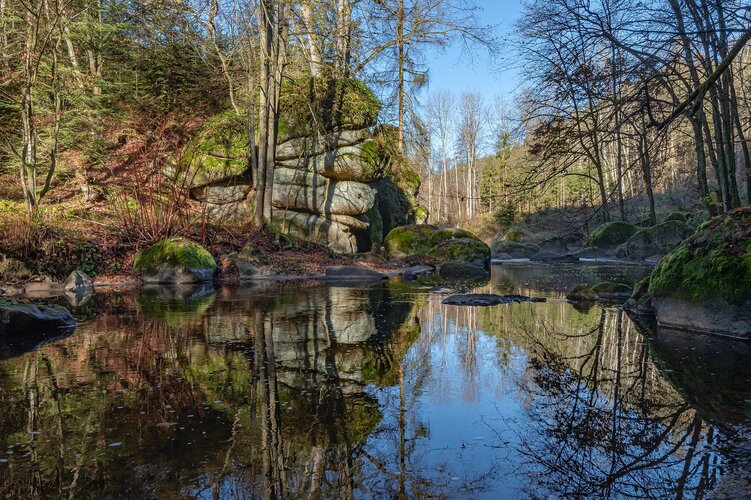 Hinter einem Teich sind Bäume und Felsen.