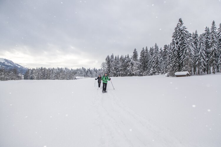 Schneeschuhwanderer in den Bergen