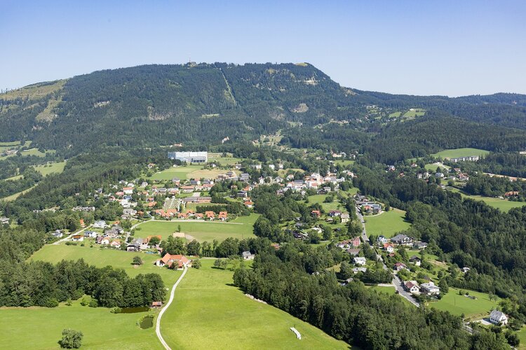 Häuser im Grünen in Sank Radegund von oben.