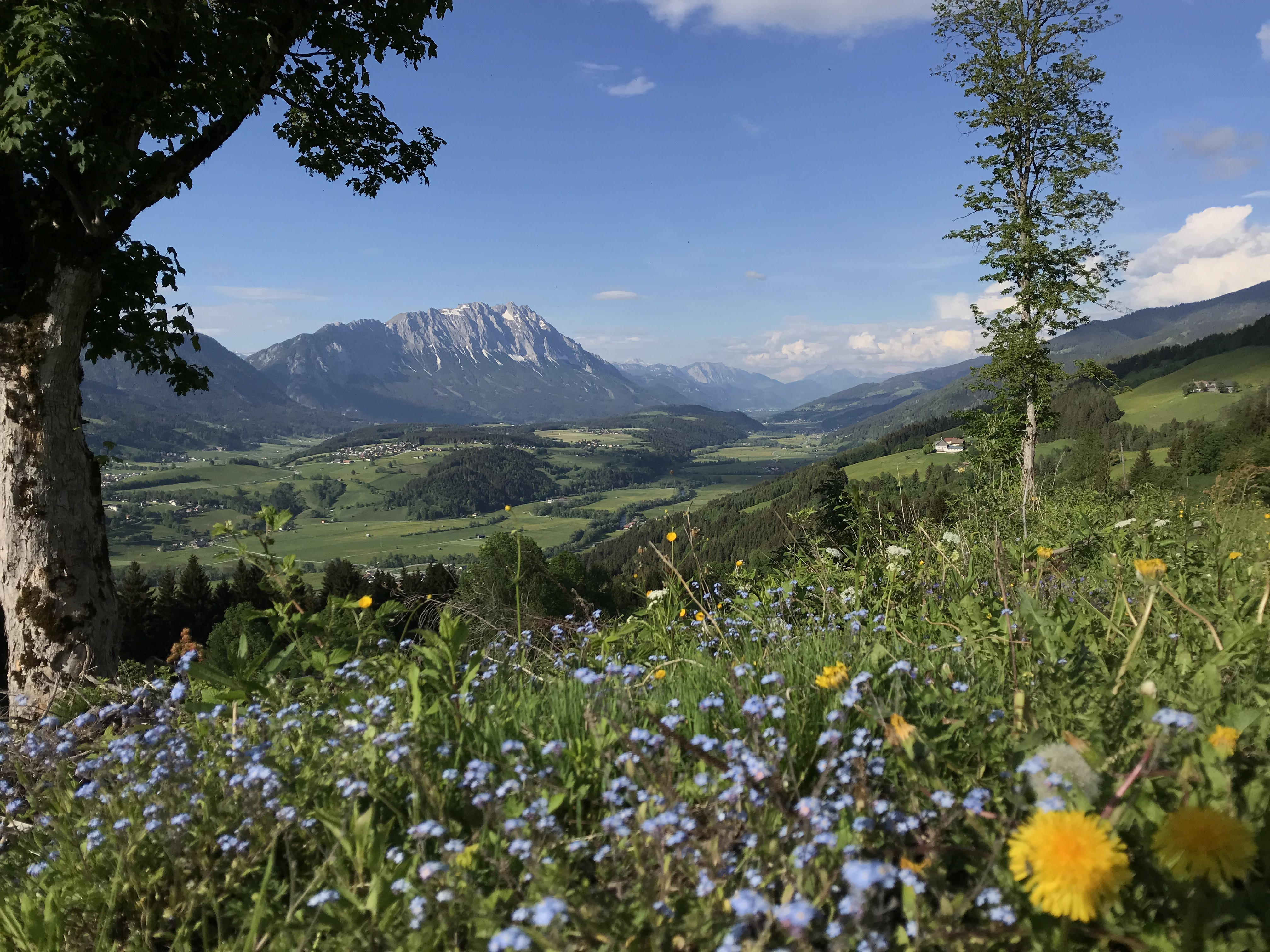 Ennstal vom Michaelerberg