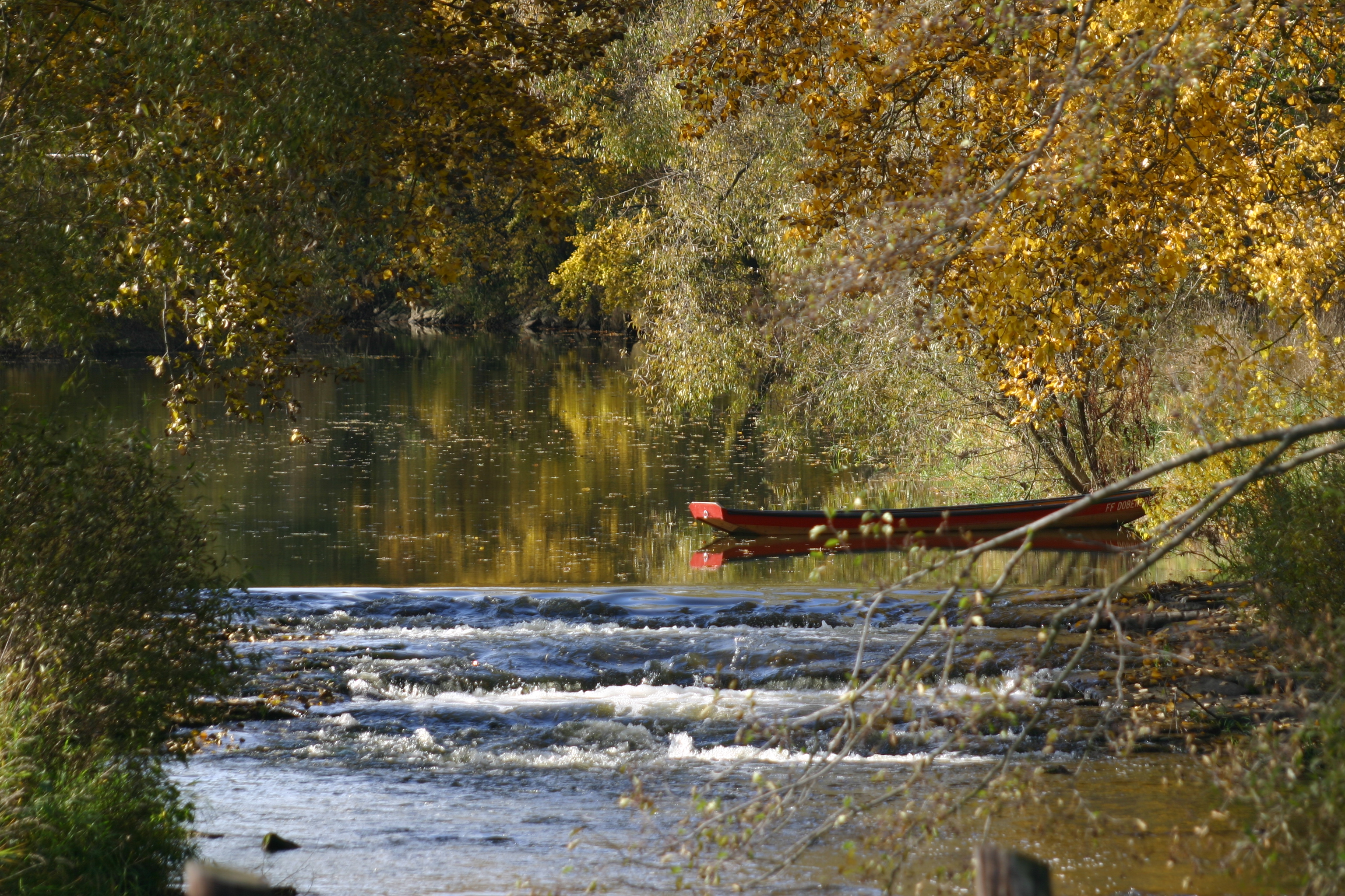 Zille auf der Thaya im Herbst.