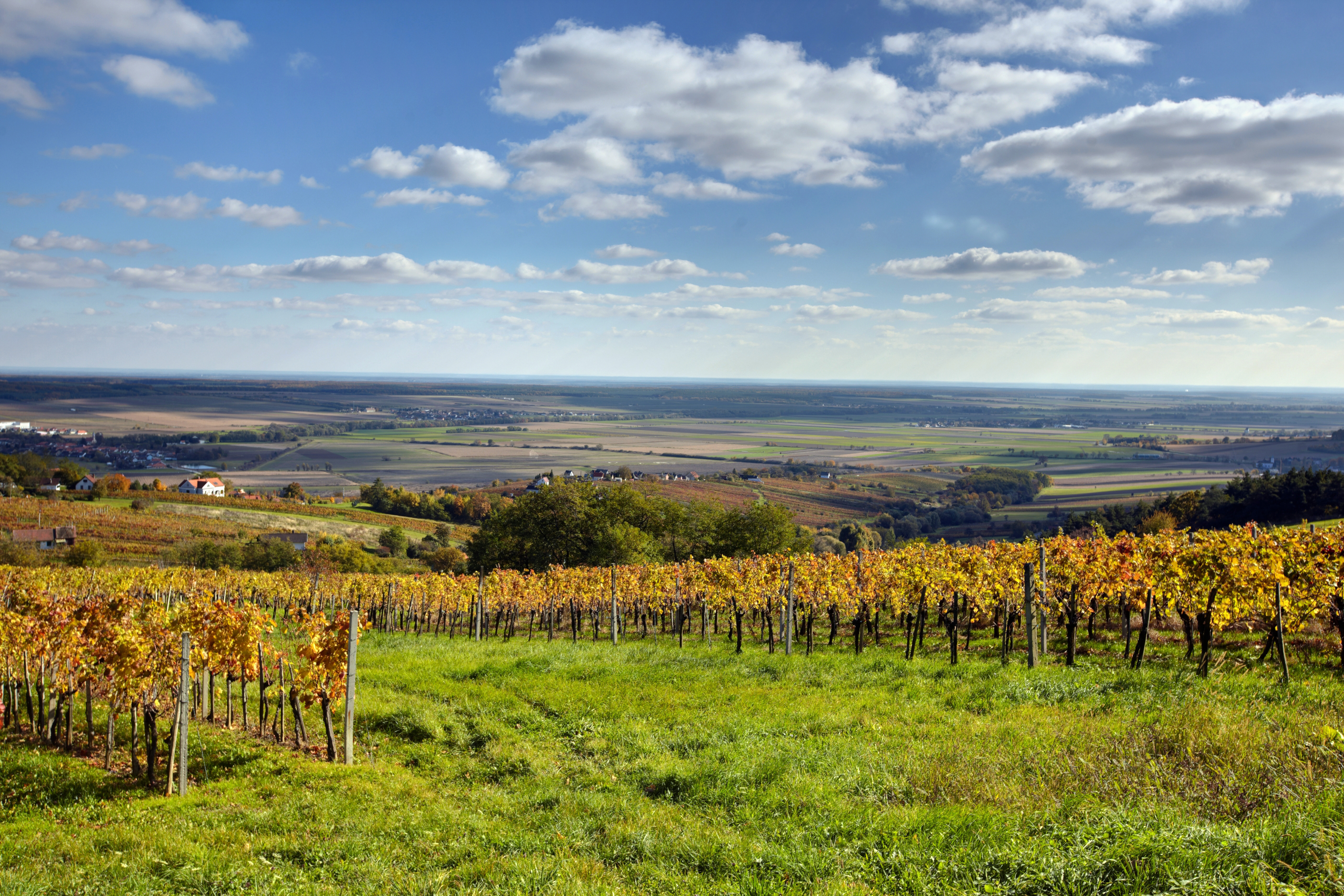 Landschaftsfoto der KLAR! Region 