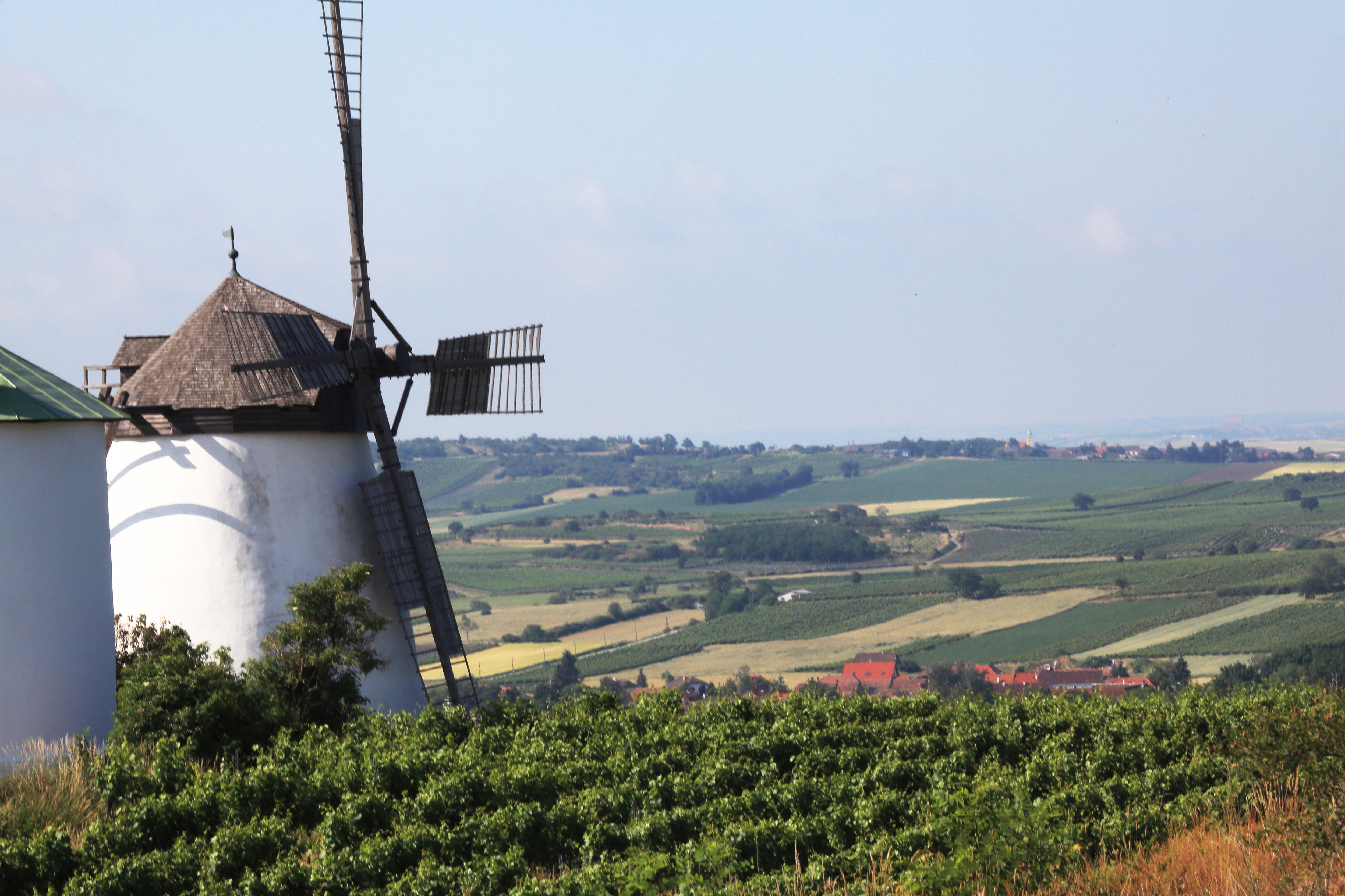 Windmühle in der Landschaft