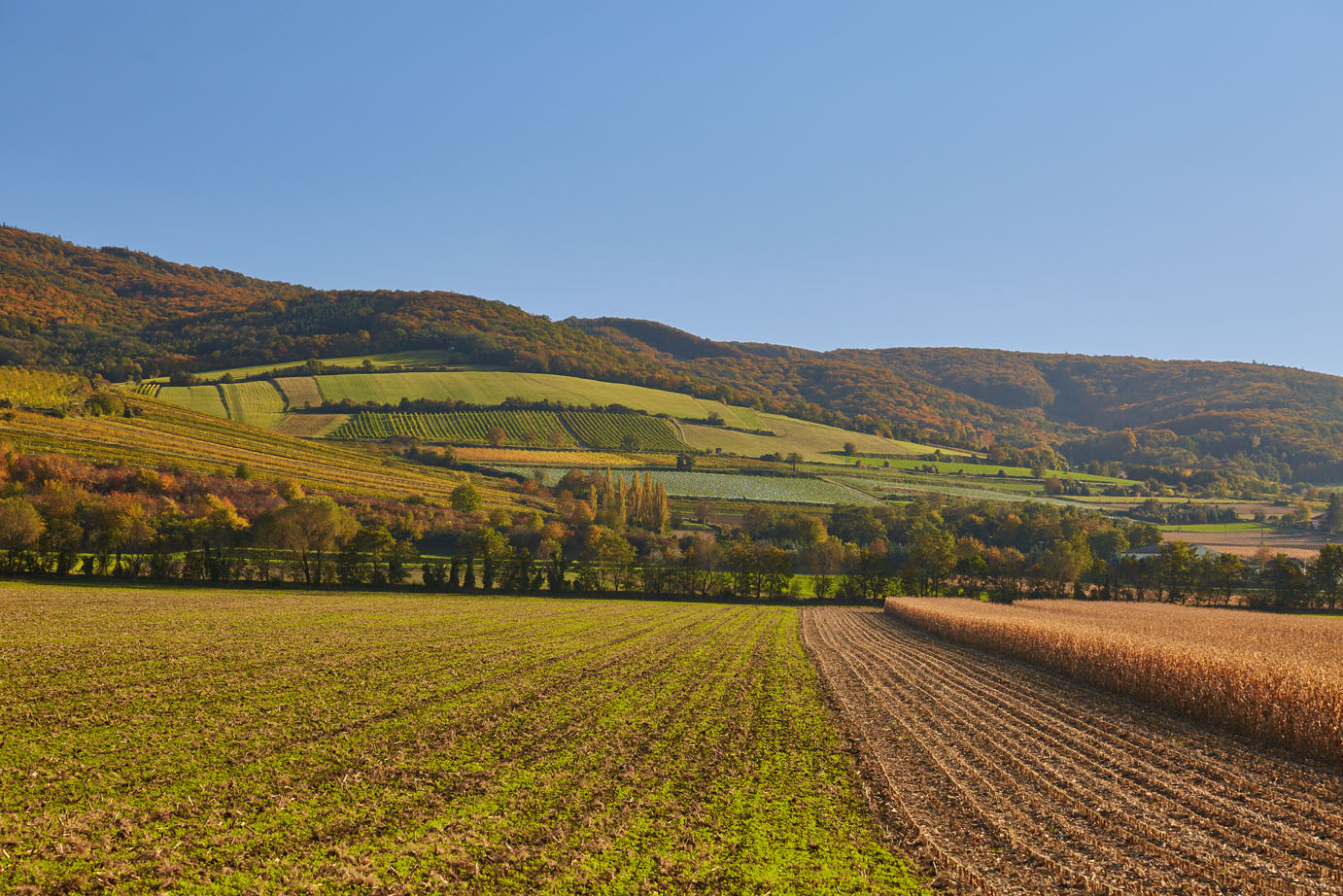 Landschaftsfoto der KLAR! Region