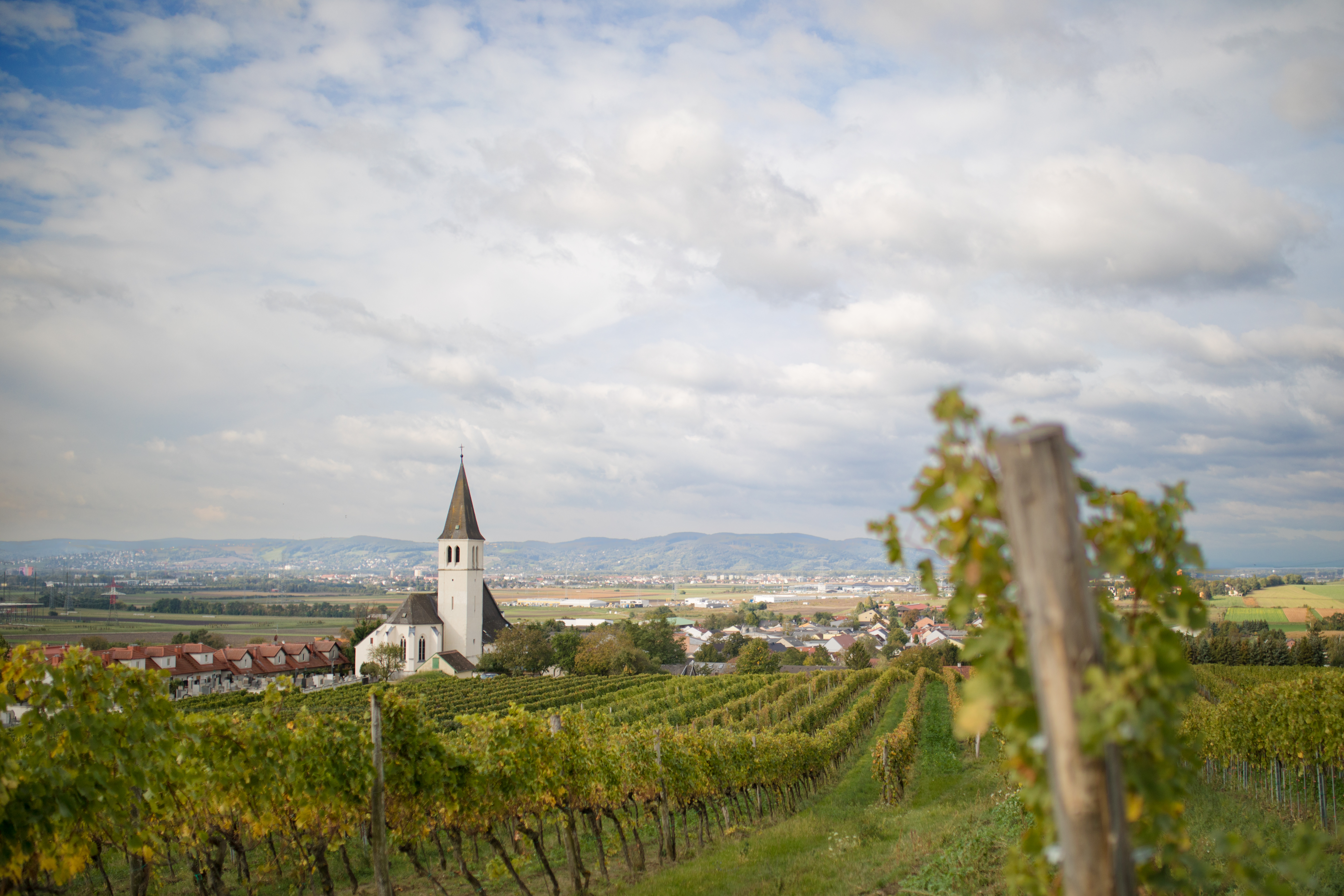 Blick auf die Region von Weinhang aus