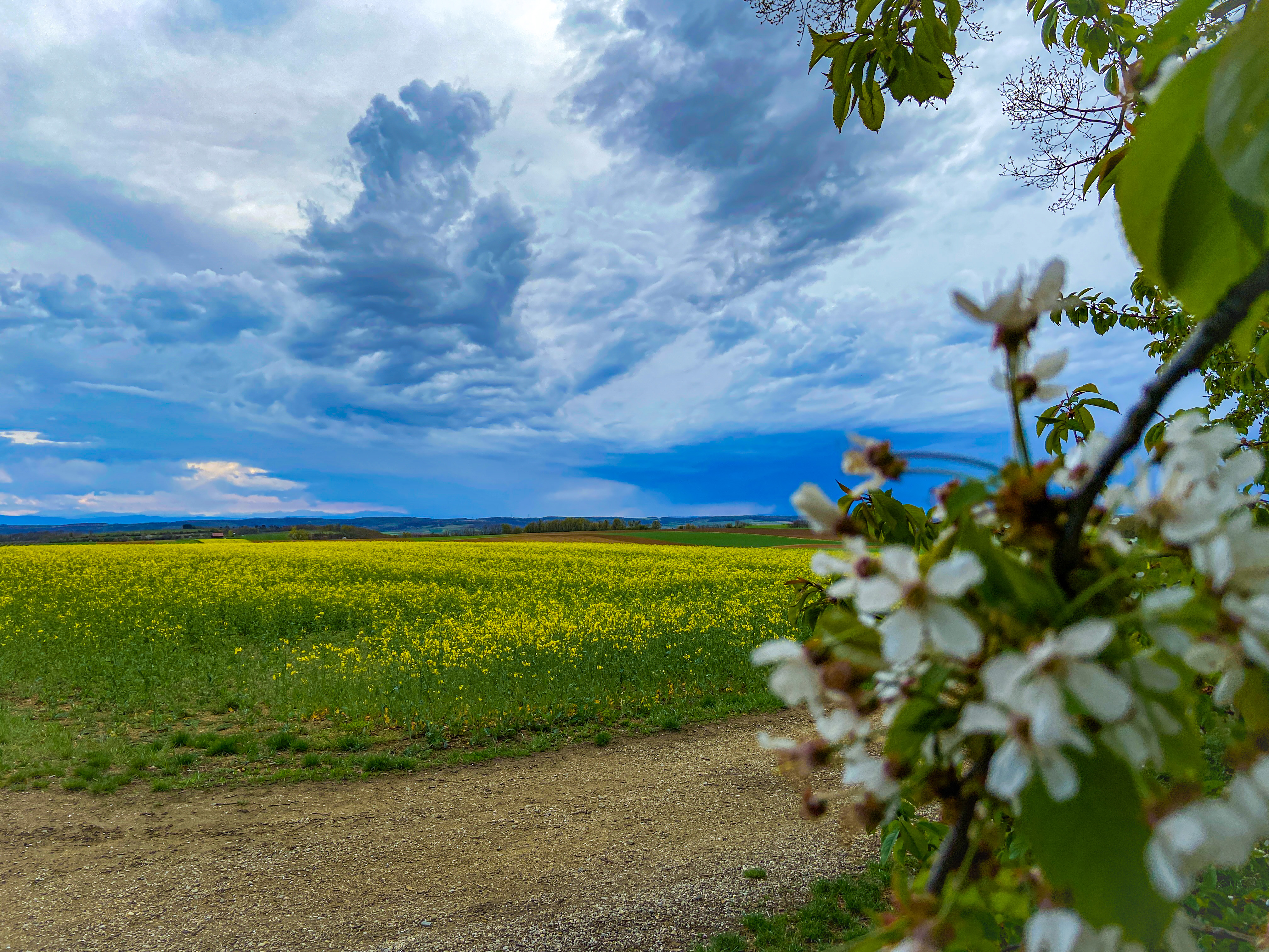 Feld und Himmel