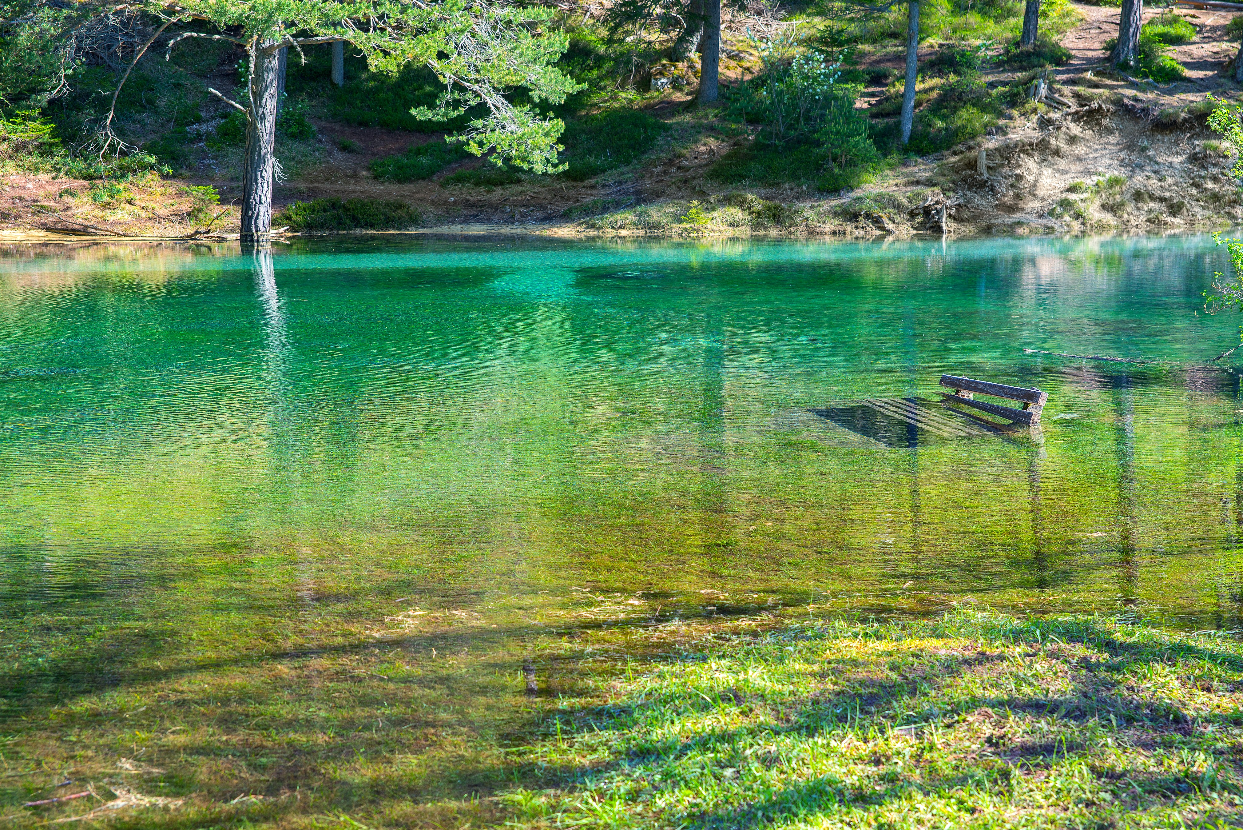 grüner See