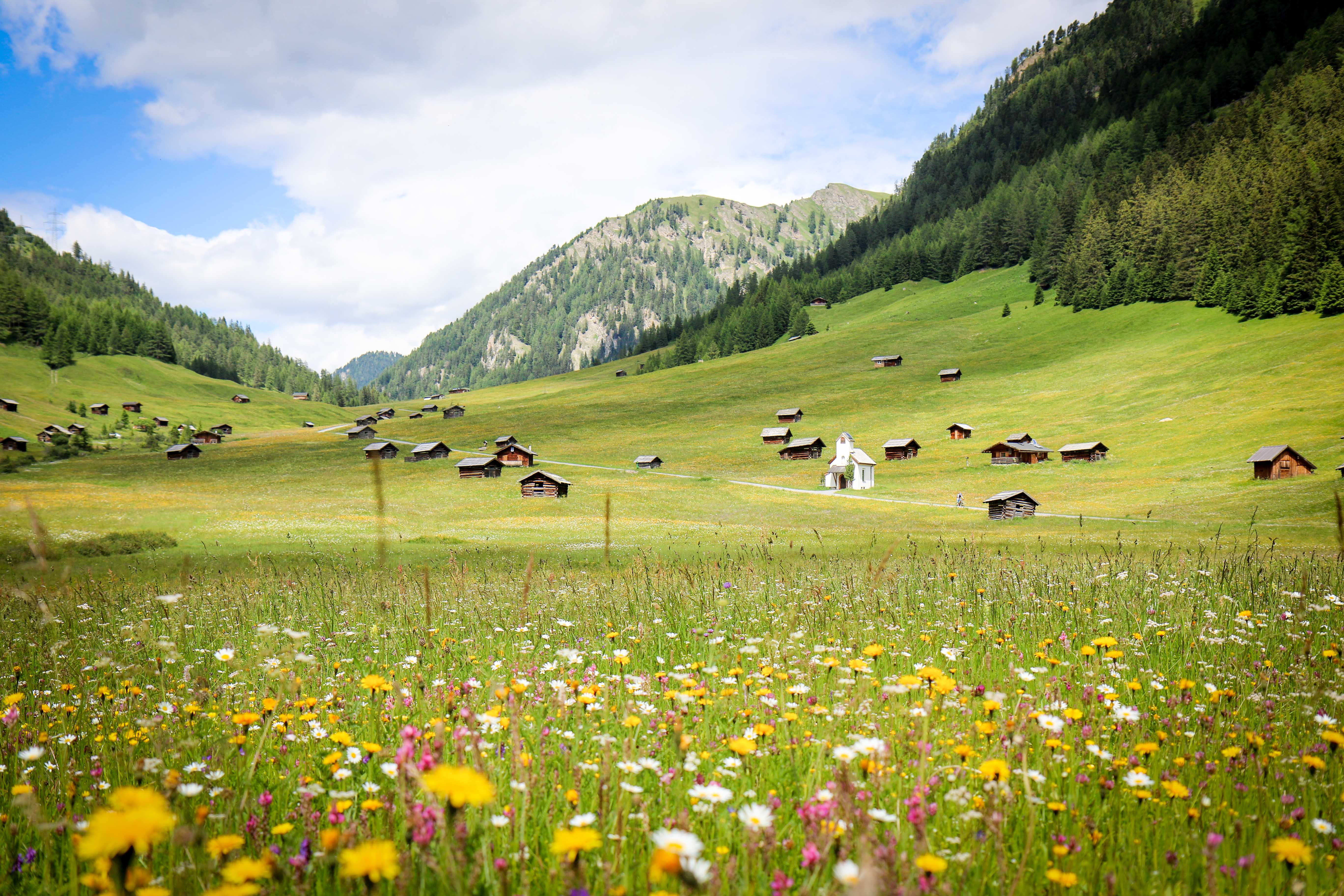 Bergsommer in der Tschey